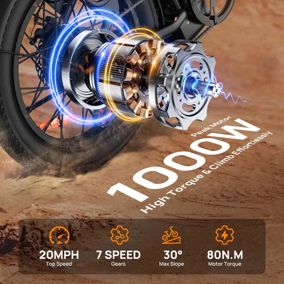 URLIFE 1000W E20 Electric Bike 48V 13Ah Removable Battery 20mph 20''x3" Fat Tire 7-Speed E-Bike with Dual Disc Brake Multifunctional Carbon Steel Frame