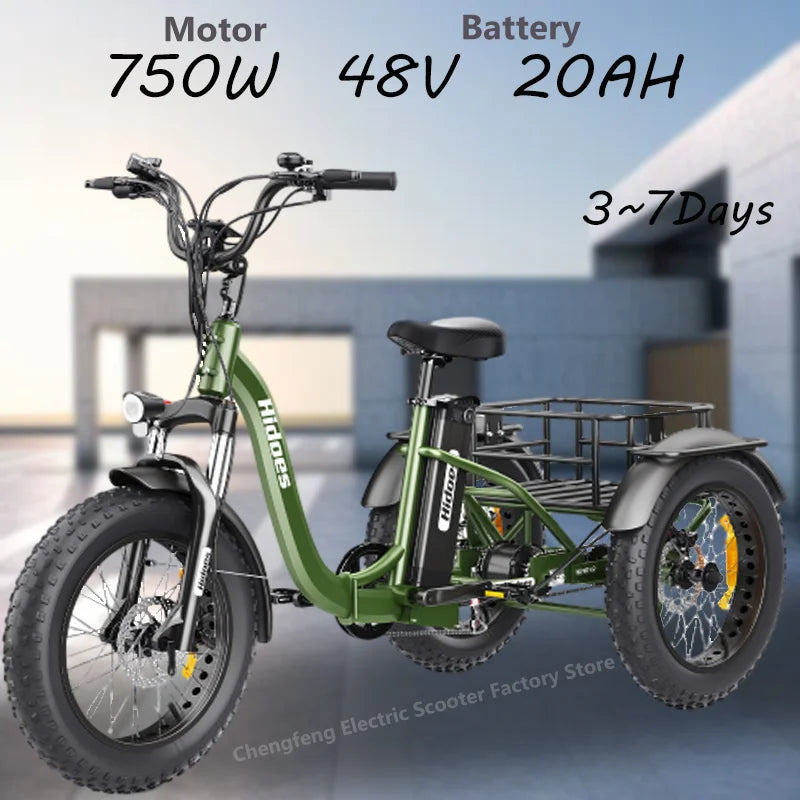 HIDOES ET1 Electric Bicycle 750W 48V Brushless Motor 20AH Lithium Battery 7 Speed 20" Wheel Three-Wheel E-Bike for Cargo