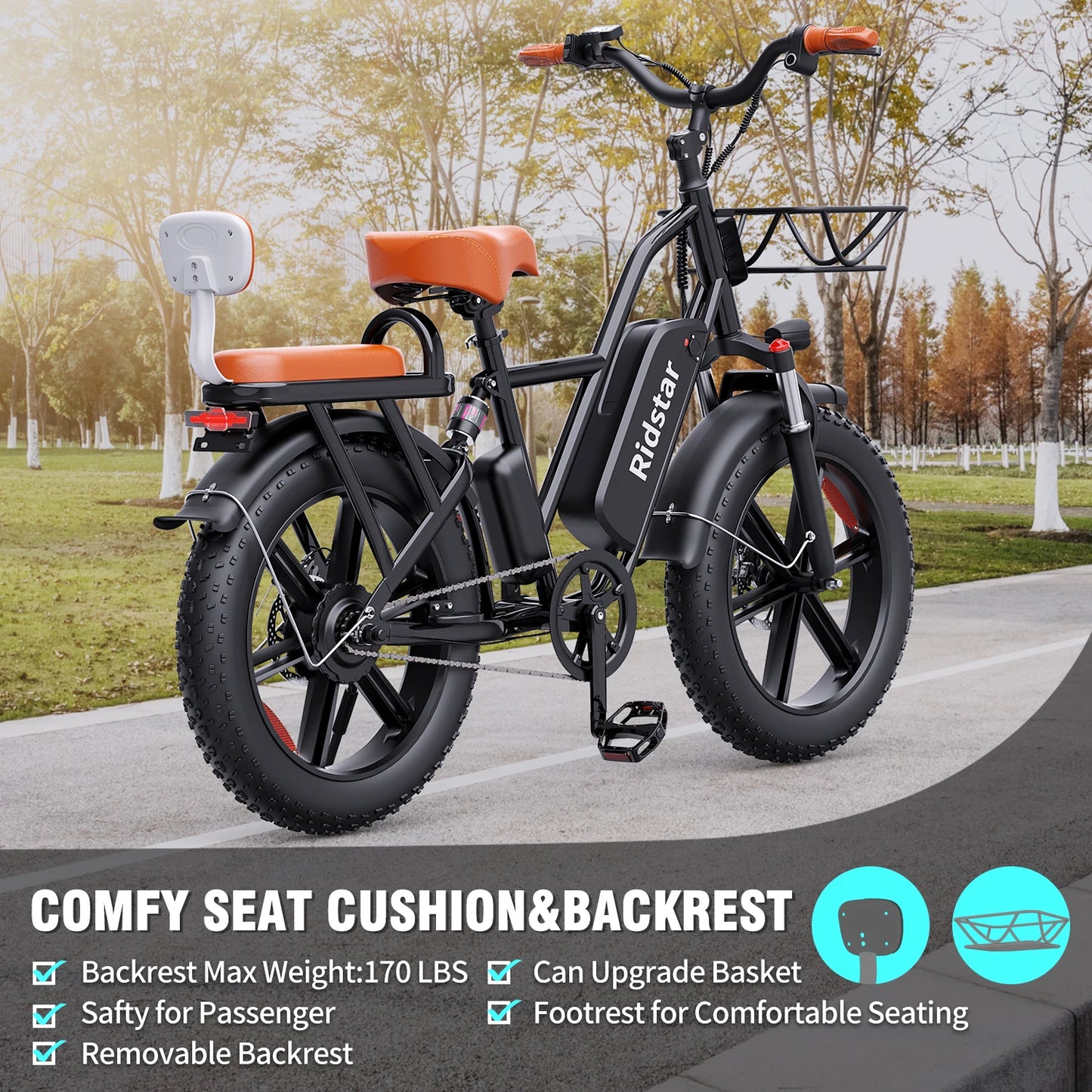 RIDSTAR MF-002 1500W 30MPH 30-70Miles 48V 15.6AH Removable Battery Ebike 20" x 4.0 Fat Tire Commuting 2 Seater Electric Bike for Adult