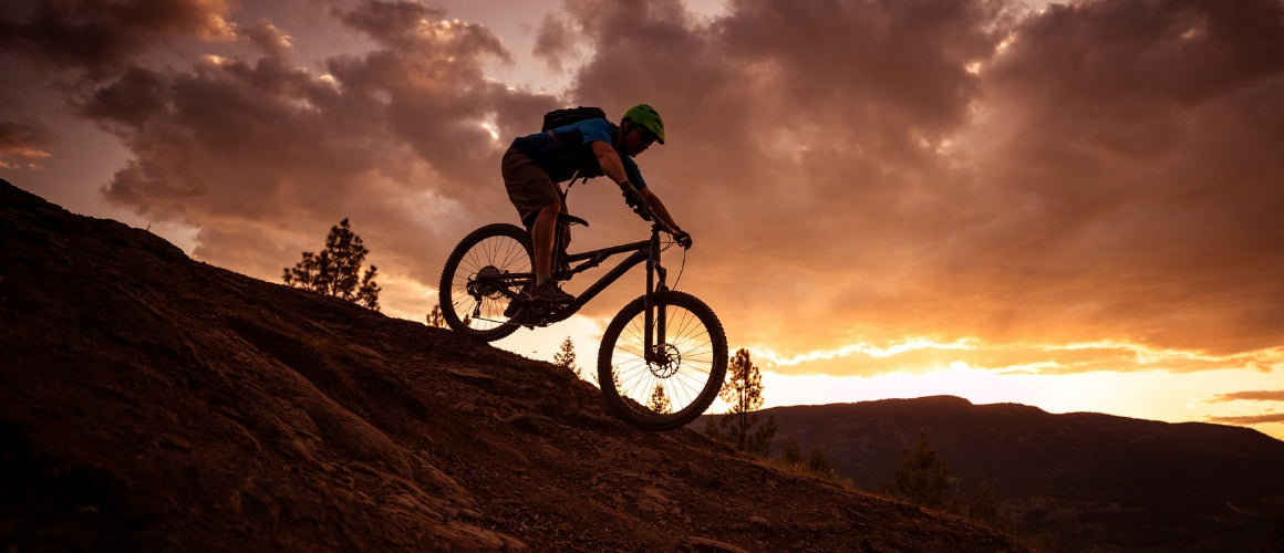 Mountain Bike vs Road Bike: Which One Should You Buy in 2026?