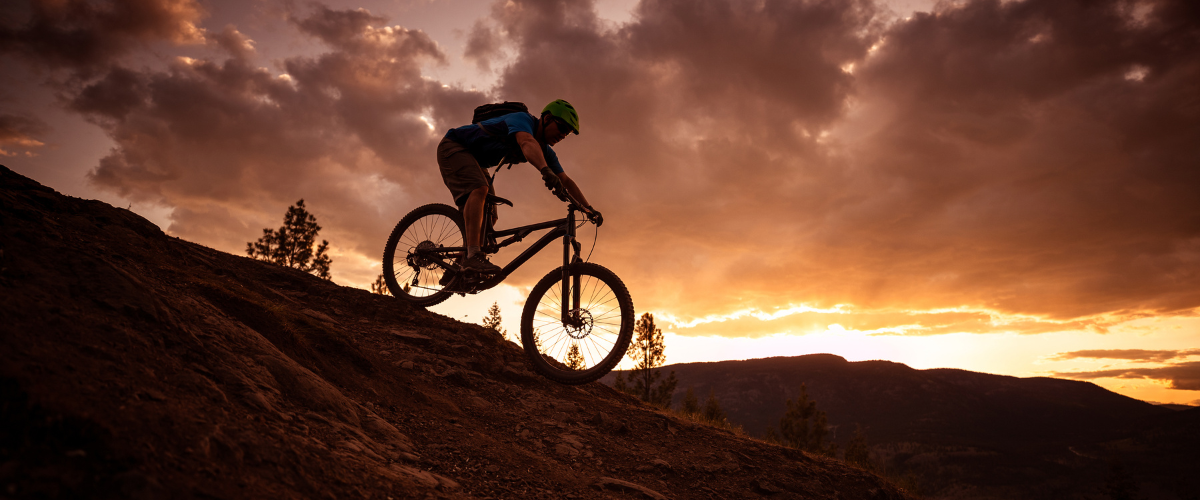 Mountain Bike vs Road Bike: Which One Should You Buy in 2026?