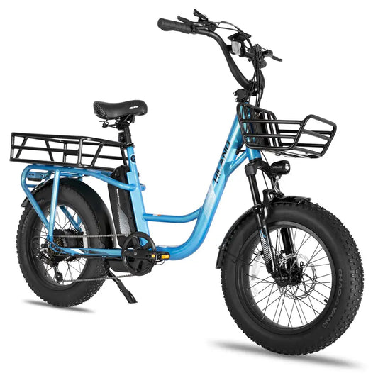 electric cargo bike