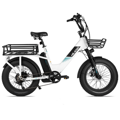 Gemstone  20" Electric Cargo Bike