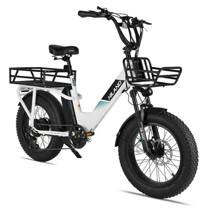 Gemstone  20" Electric Cargo Bike