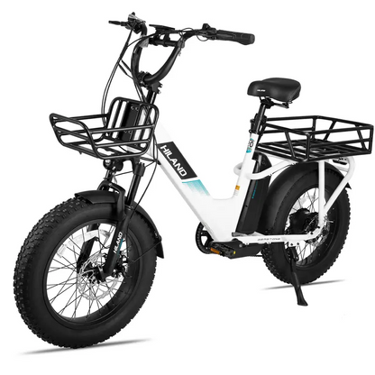 Gemstone  20" Electric Cargo Bike