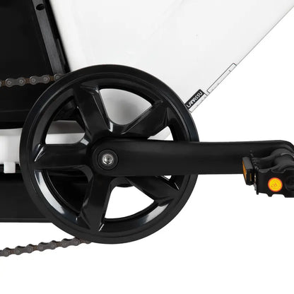 Gemstone  20" Electric Cargo Bike