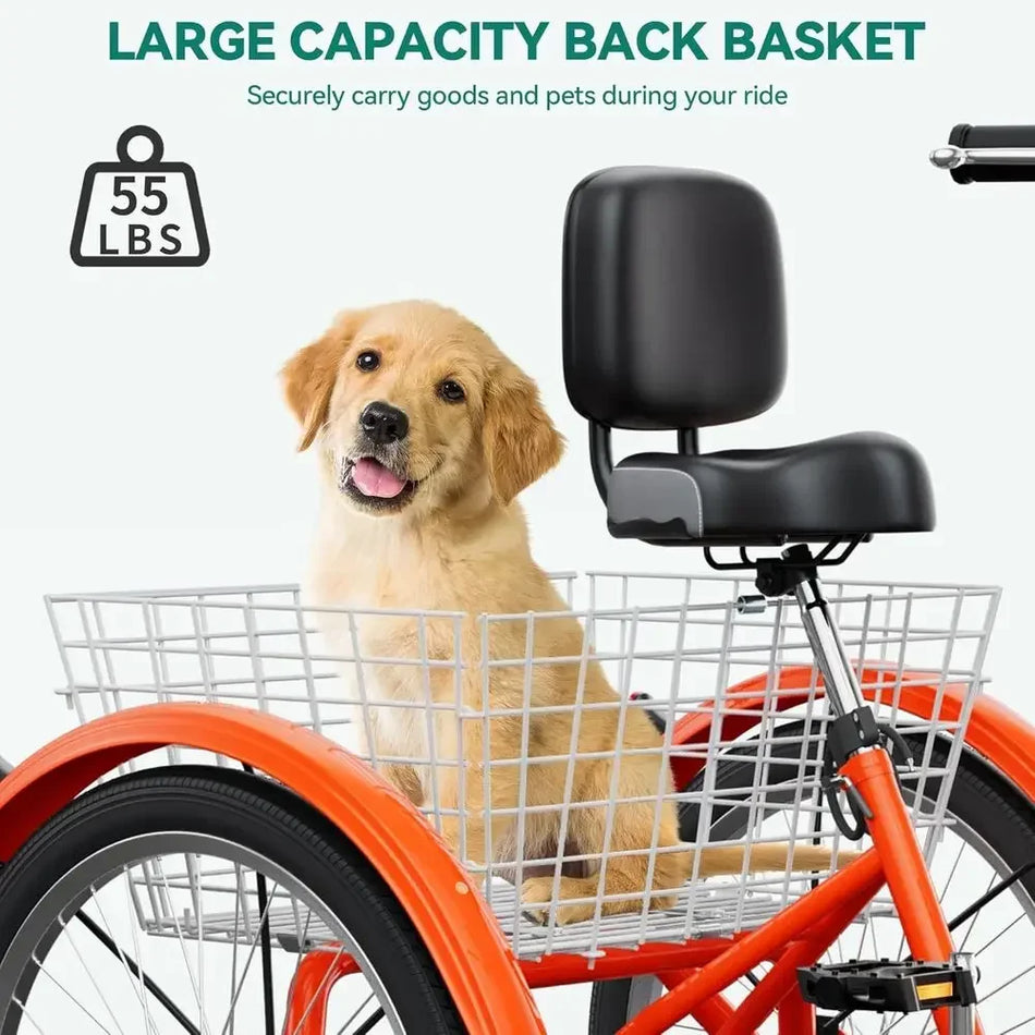 24"/26" Adult Tricycle – 1 or 7-Speed with Backrest & Dual Baskets