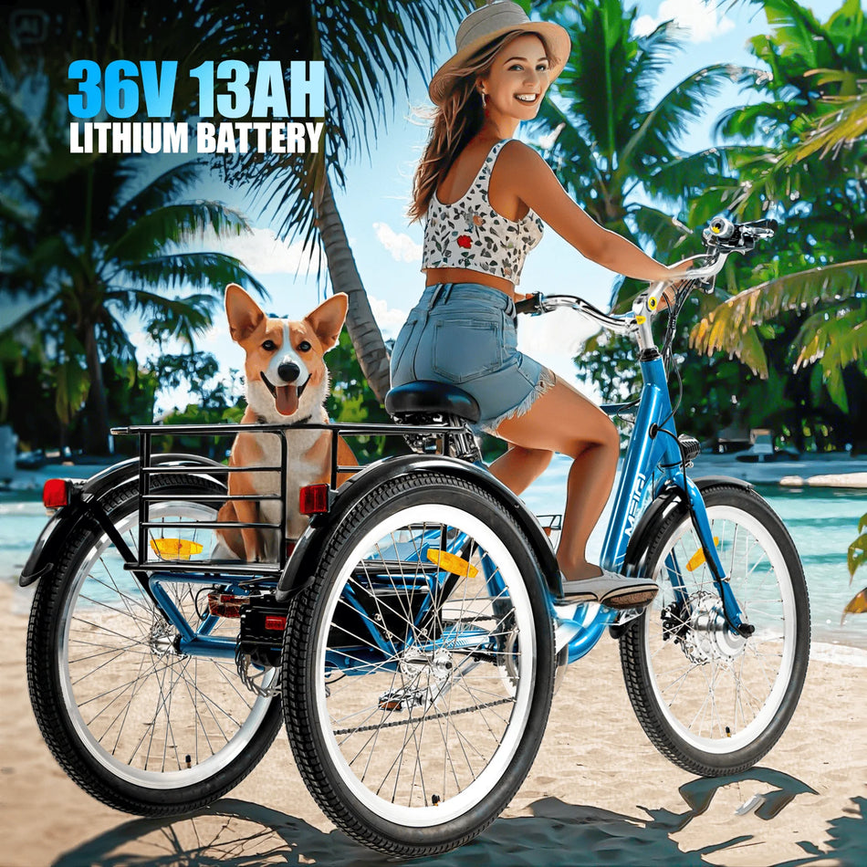 MEIGI 3-Wheel Electric Cargo Tricycle 750W Peak Motor 36V 24 Inch Tire City Bike for Adult Men Women Powerful Strong